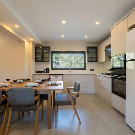 别墅 Luxury In The Center Of Hisaronu *