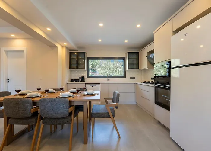 Vila Luxury In The Center Of Hisaronu *